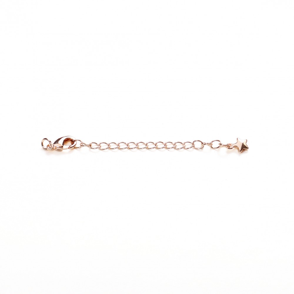 Clasp Lux 75х5 mm 1pcs. (F01L3075) 