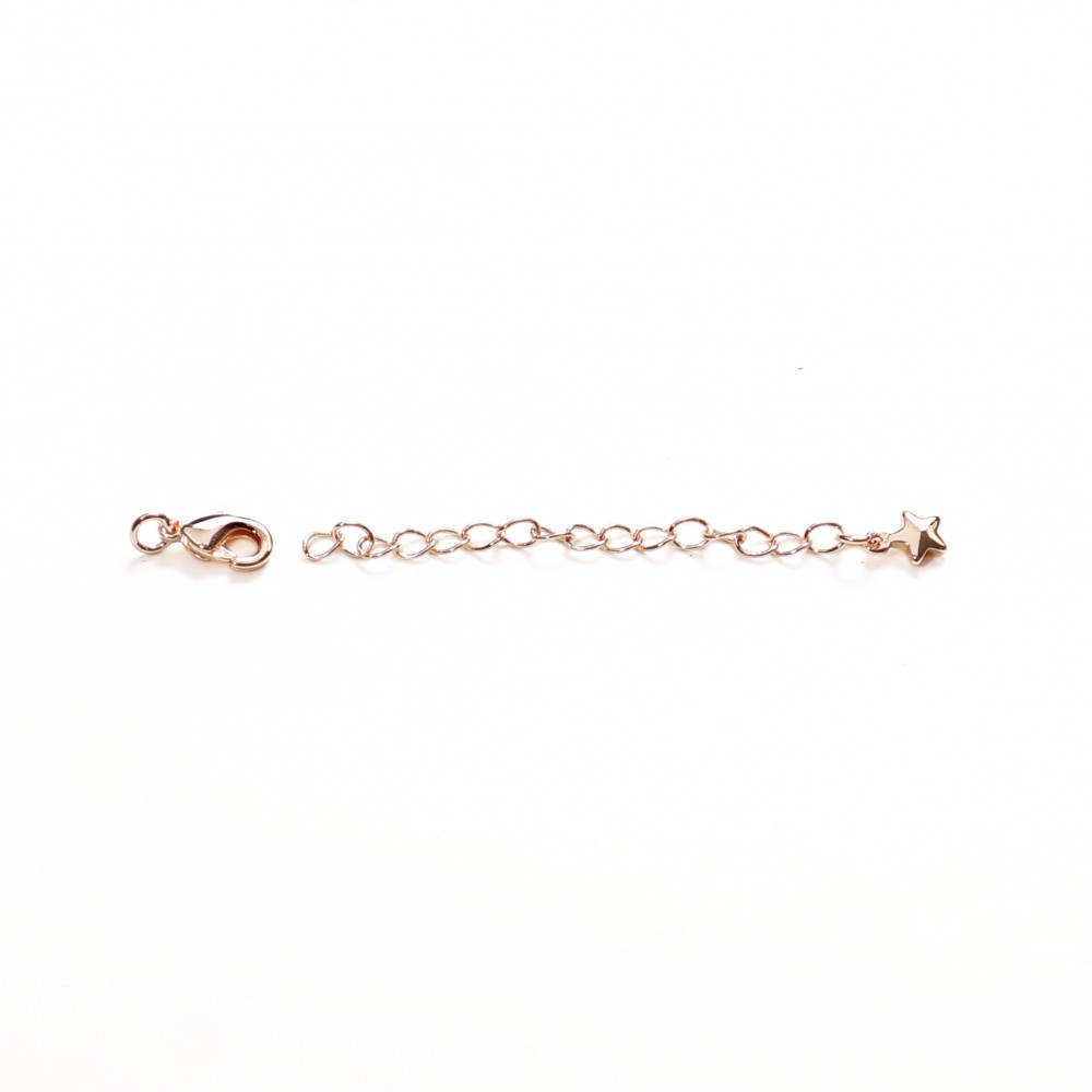 Clasp Lux 75х5 mm 1pcs. (F01L3075) 