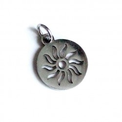 Stainless steel pendant 17x12mm 1pcs. (F12N1024)