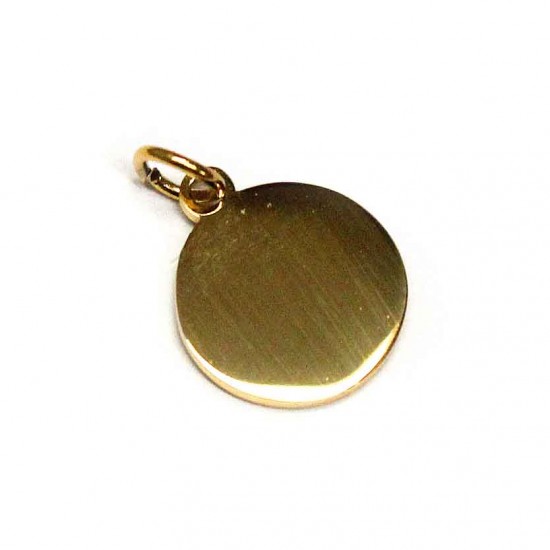 Stainless steel pendant 17x12mm 1pcs. (F12N3046)