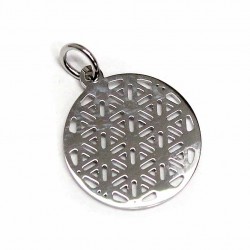 Stainless steel pendant 20x15mm 1pcs. (F12N1058) 