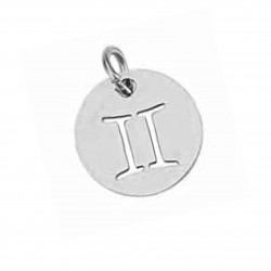 Stainless steel pendant - Gemini 14x12mm 1pcs. (F12N1041)