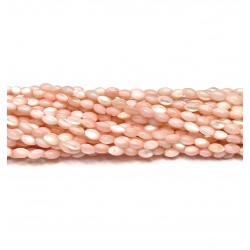 Beads Nacre 5x3 mm (2705009)