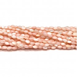 Beads Nacre 5x3 mm (2705009)