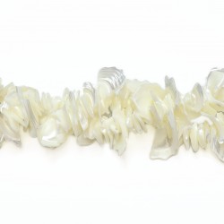 Beads Nacre 27x4 mm (272800)