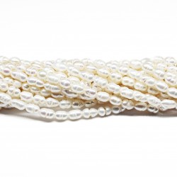 Beads Pearl ~ 6х3 mm (1506001)