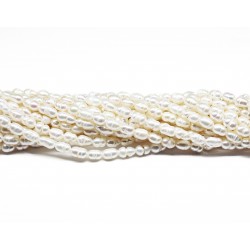 Beads Pearl ~ 6х3 mm (1506001)