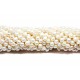 Beads Pearl ~ 6х5 mm (1506002)
