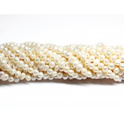 Beads Pearl ~ 6х5 mm (1506008)