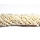 Beads Pearl ~ 6х5 mm (1506008)