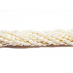 Beads Pearl ~ 7х4mm (1507003)