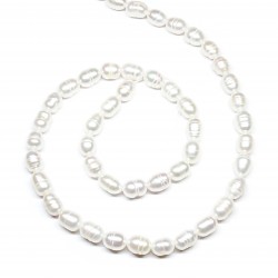 Beads Pearl ~ 8х5 mm (1508012)