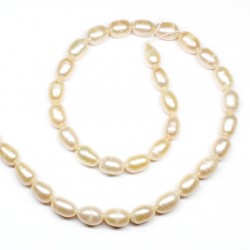 Beads Pearl ~ 10х6 mm (1510015)