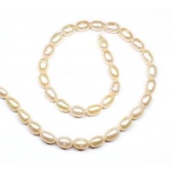 Beads Pearl ~ 10х6 mm (1510015)