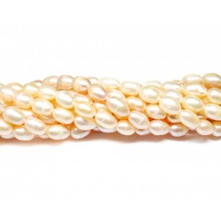 Beads Pearl ~ 10х6 mm (1510015)