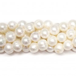 Beads Pearl ~ 10x10mm (1510014)