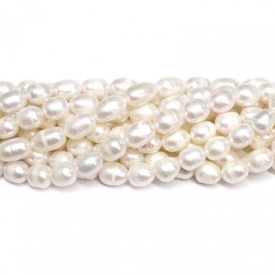 Beads Pearl ~ 10x7mm (1510012)