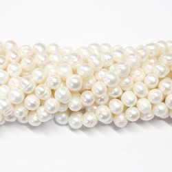 Beads Pearl ~ 10x9mm (1510002)