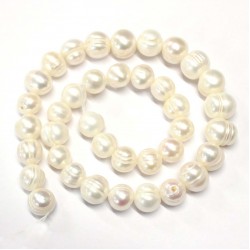 Beads Pearl ~ 10x9mm (1510002)