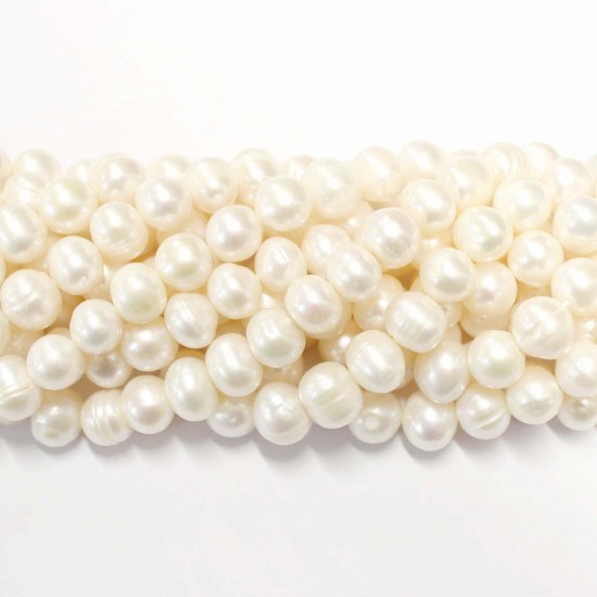 Perle Perlen~ 10x9mm (1510007)