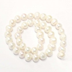 Beads Pearl ~ 10x9mm (1510007)
