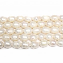 Perle Perlen~ 12x10mm (1512005)