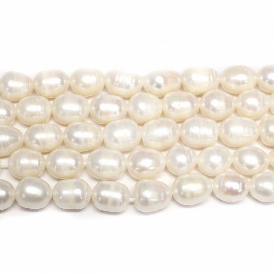 Beads Pearl ~ 12x10mm (1512005)