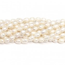 Beads Pearl ~ 6x5mm (1506004)