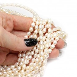 Beads Pearl ~ 6x5mm (1506004)