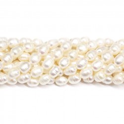 Beads Pearl ~ 7x6mm (1507002)