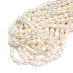 Beads Pearl ~ 7x6mm (1507002)