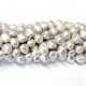 Perle Perlen~ 8x5mm (1508001)