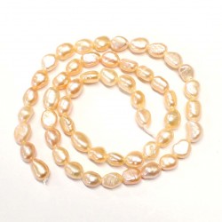 Beads Pearl ~ 8x5mm (1508005)