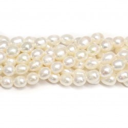 Beads Pearl ~ 8x6mm (1508007)