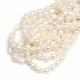 Beads Pearl ~ 8x6mm (1508007)