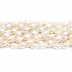 Beads Pearl ~ 9x6,5mm (1509002)
