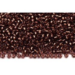 PRECIOSA Czech Beads  10/0 (29010)