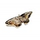 Brooch 52x21mm (6699)