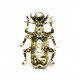 Brooch 70х47mm (6812)