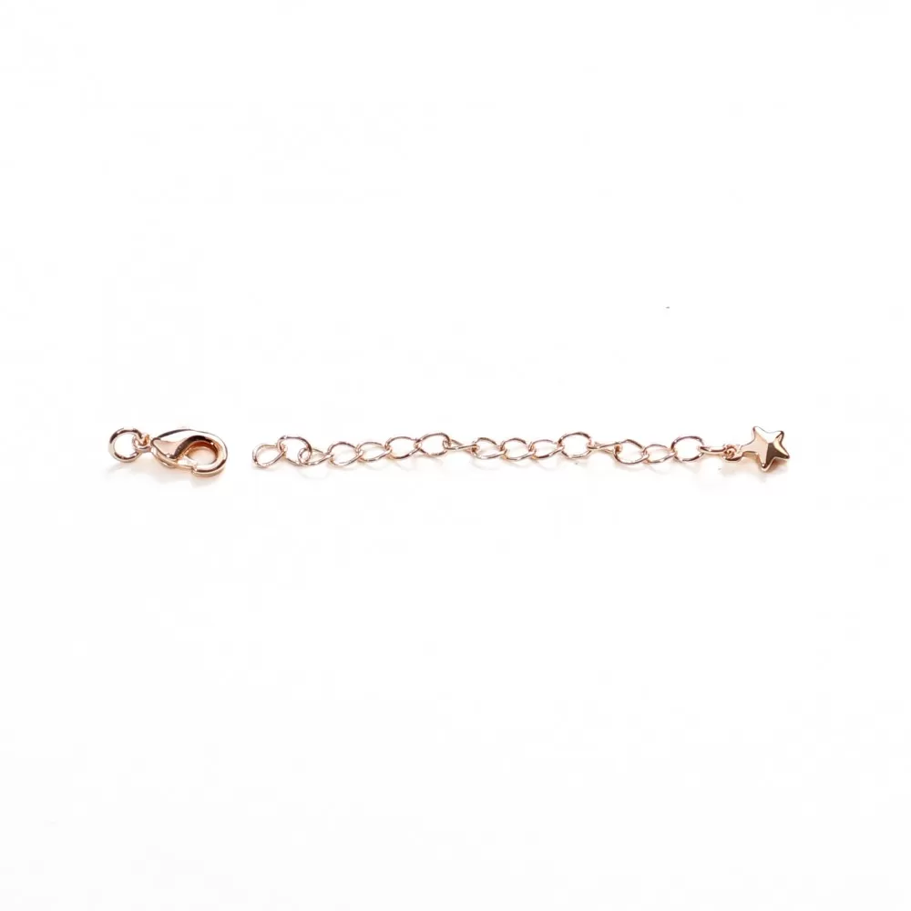 Clasp Lux 75х5 mm 1pcs. (F01L3075) Clasp Lux 75х5 mm 1pcs. (F01L3075)
