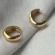 Earrings (7468)