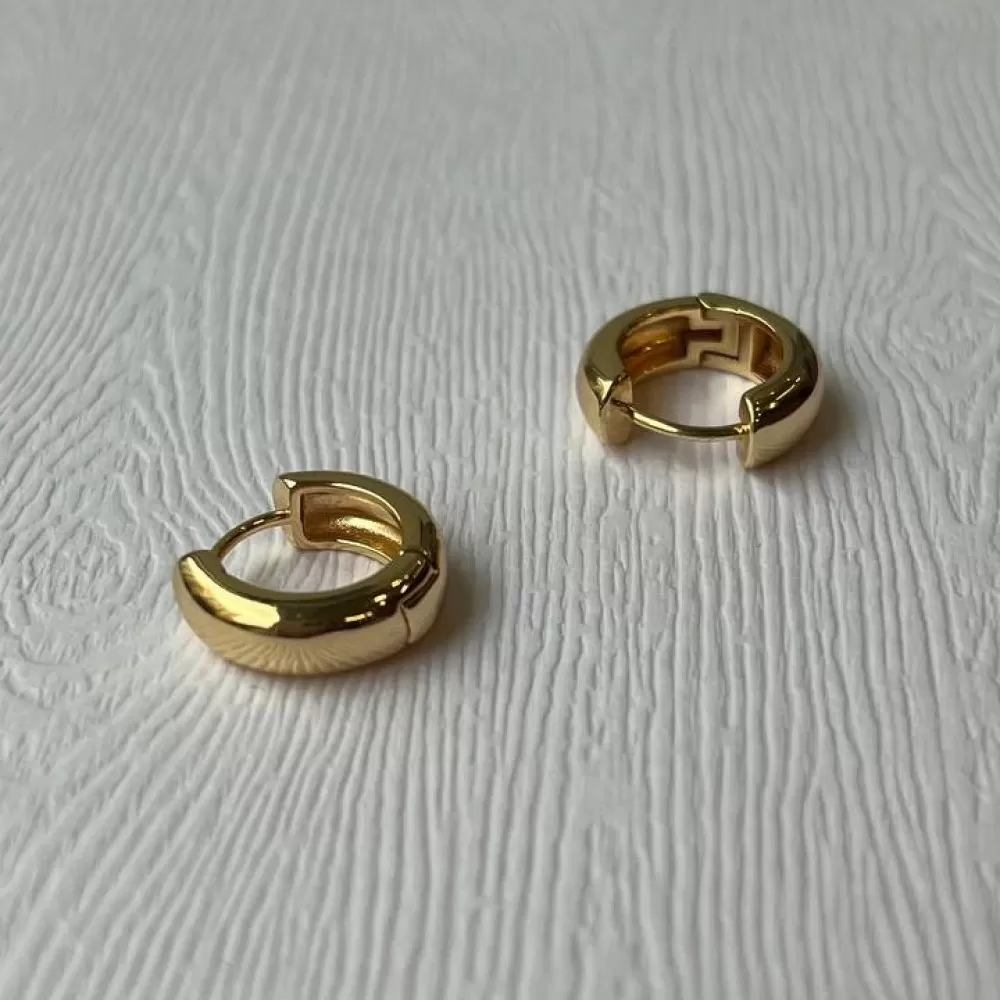 Earrings (7468)