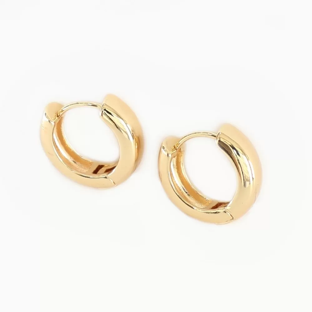 Earrings (7468)