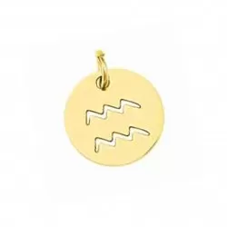 Stainless steel pendant - Aquarius 14x12mm 1pcs. (F12N3035)
