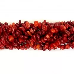 Beads Coral ~6х3mm (9006016)