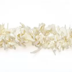 Beads Nacre 41x3 mm (272700)