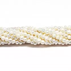 Beads Pearl ~ 4х3 mm (1504000)