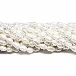 Beads Pearl ~ 8х5 mm (1508012)
