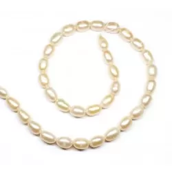 Beads Pearl ~ 10х6 mm (1510015)