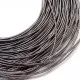 Spring stiff wire 1mm (S10001) Spring stiff wire 1mm (S10001)